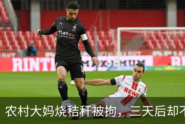 农村大妈烧秸秆被拘，三天后却不愿回家，所长感到无奈